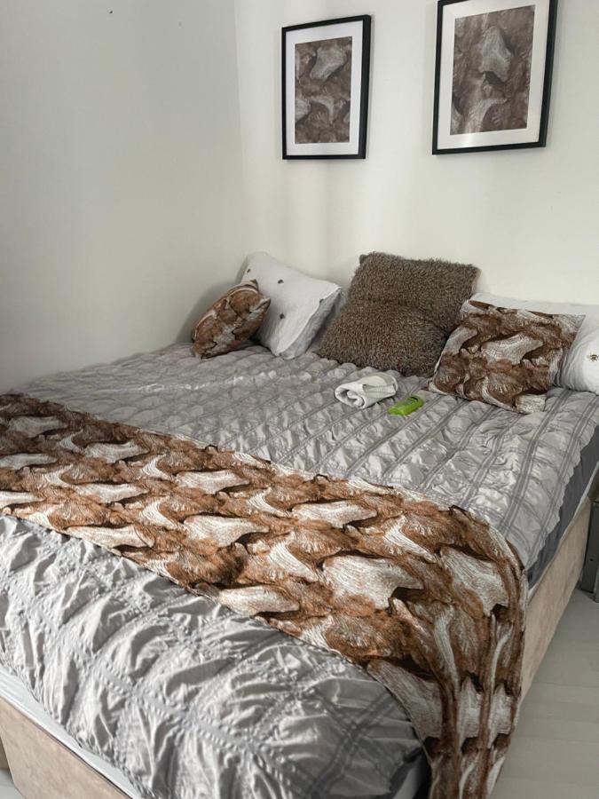 Spacious One Bedroom Ft In Central London King'S Cross Londres Exterior foto